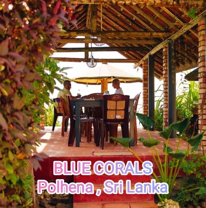 Blue Corals Beach Bungalow Matara Exterior foto